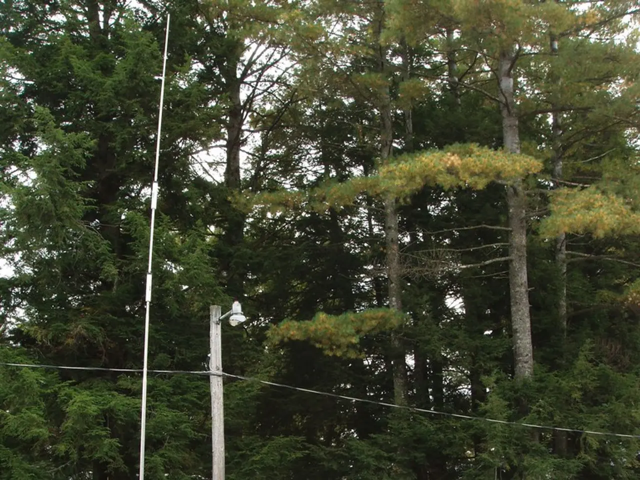 More than a third of UK vacationers prefer to revisit familiar locations for a sense of security...