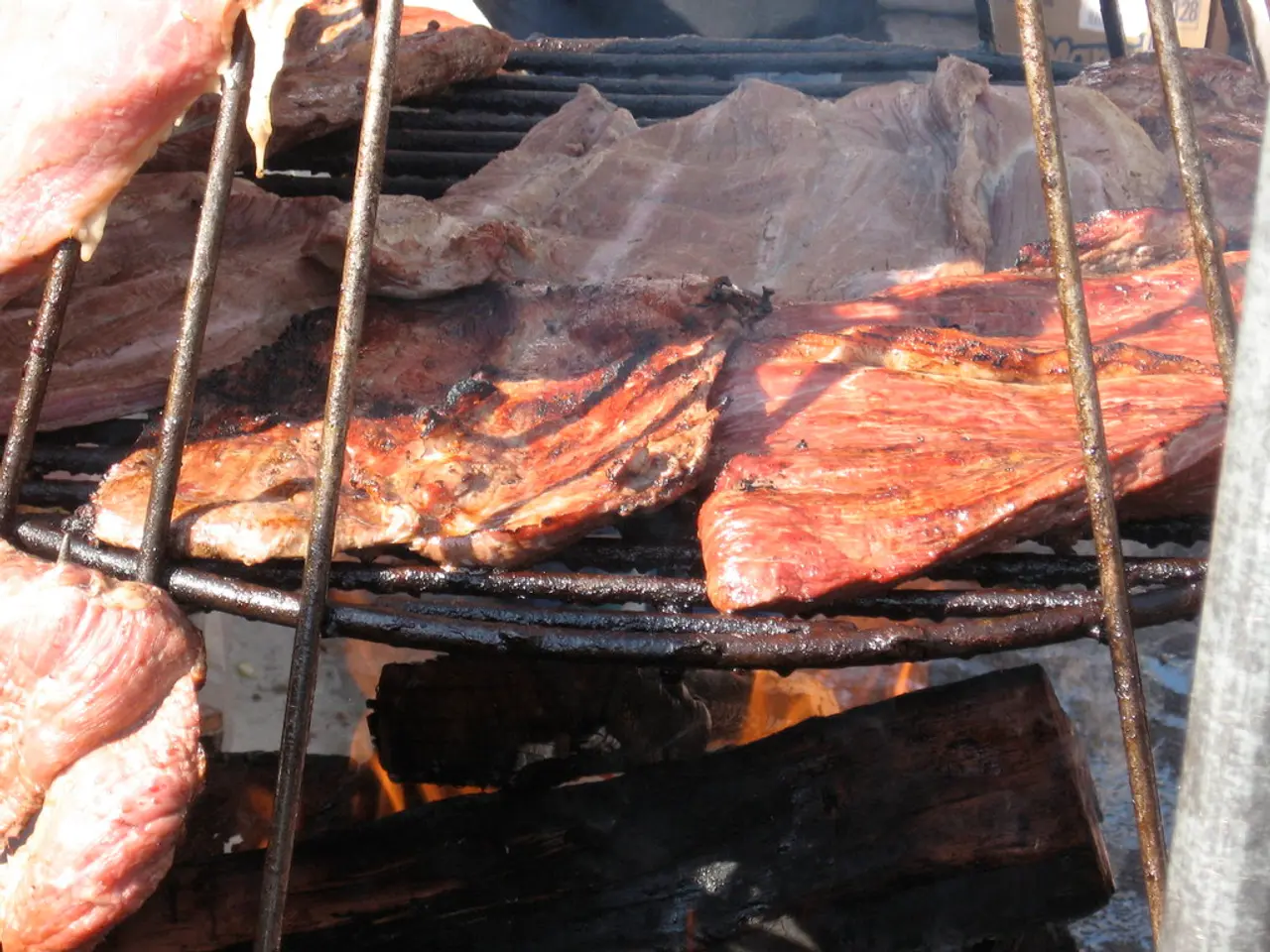 Benefits and Drawbacks of Fossil Fuel Heaters Using Organic Material