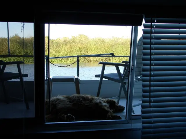 Essential Items for Pet Travel: Comprehensive Checklist