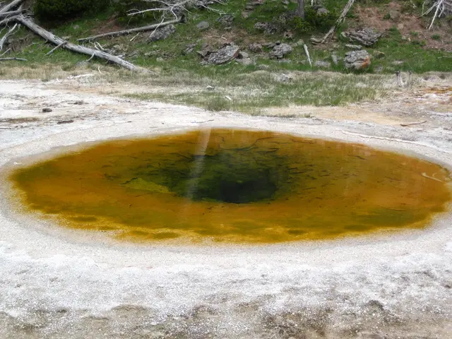 Comprehensive Overview of Capitol Reef National Park: Exploring Its Wonders and Attractions