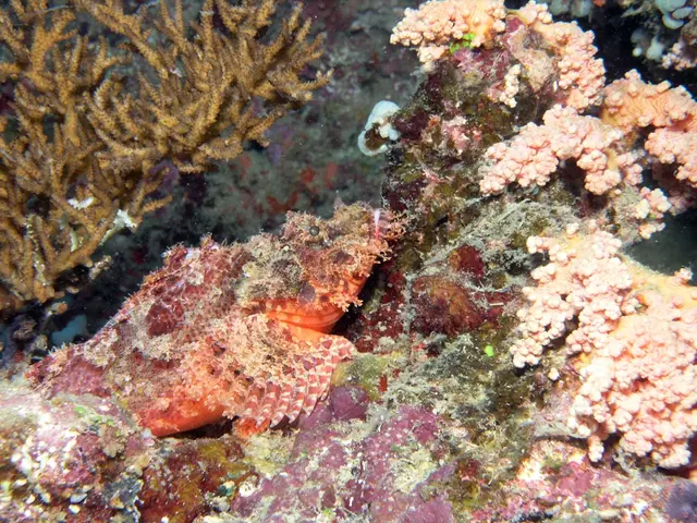 Exploring Emilia Romagna Riviera in 7 Days: Bask on Beaches and Marvel at Byzantine Mosaics