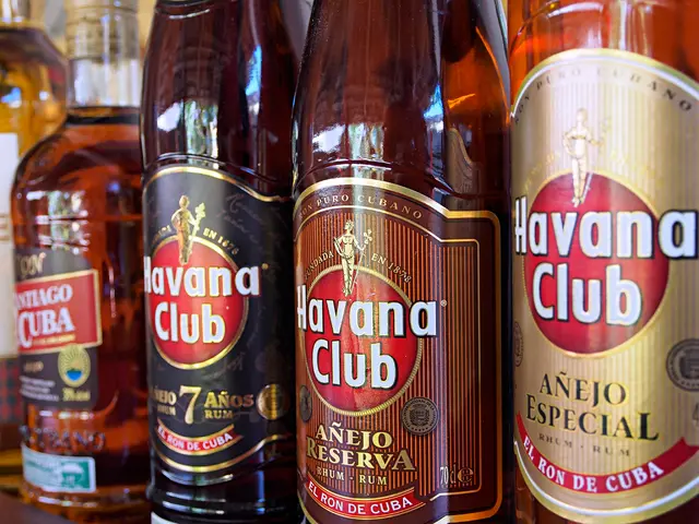 Acid Reflux and Persistent Coughing: Connection, Identification, and Therapeutic Approaches