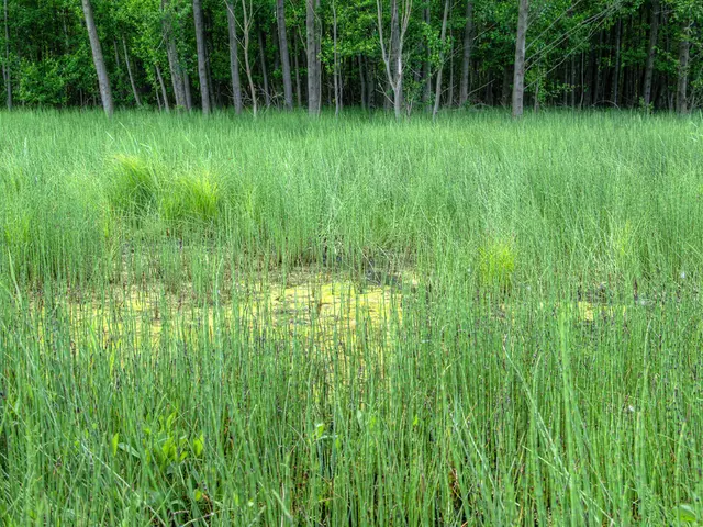 Agricultural Labor and Boxie's Journey in Down Under Australia