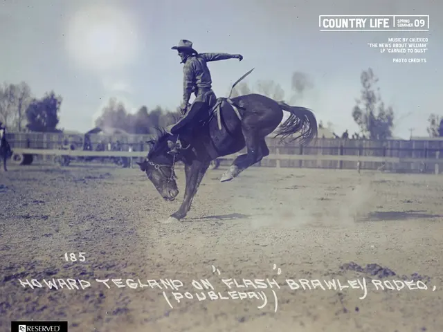 Selecting the Ideal Saddle Suited for Your Riding Technique: A Guide