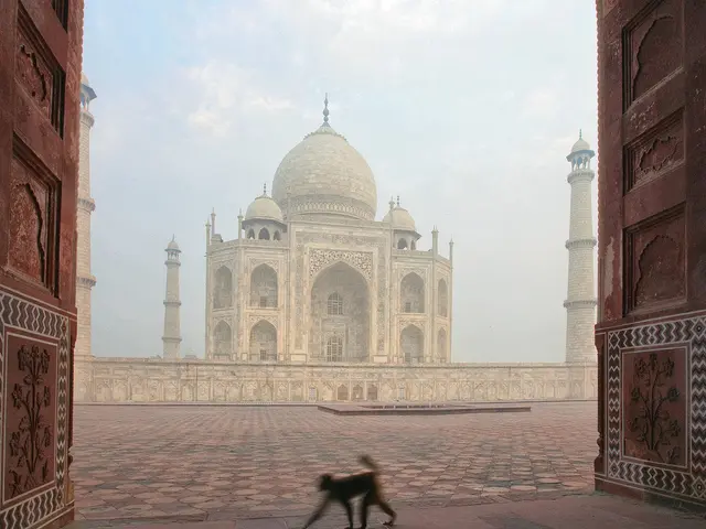 Unconventional Safari Destinations to Explore Beyond Africa: