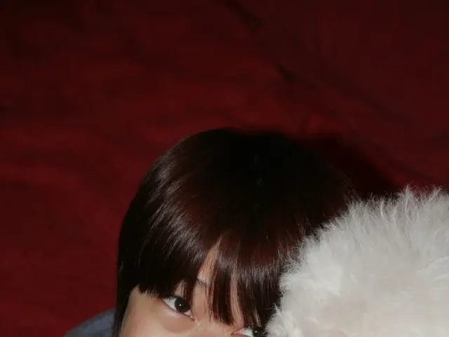 Reasons Abound for Including Your Furry Companion in Your Holiday Plans