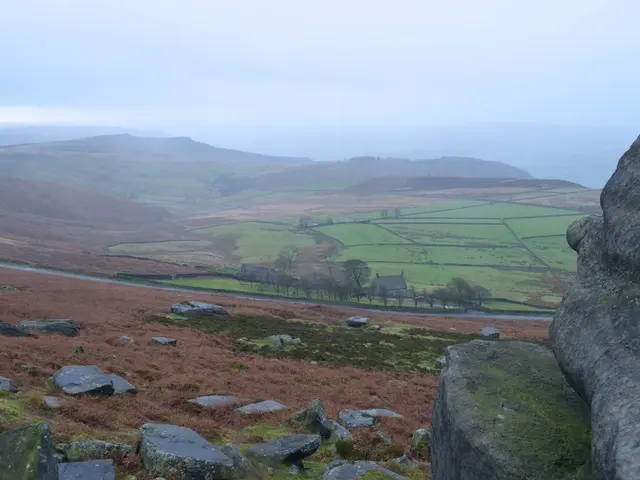 Off-Road Adventure: Delve into the Uncharted Territories