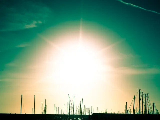 Surge in Cruise Voyages - Examining the Growth of Ocean Liners