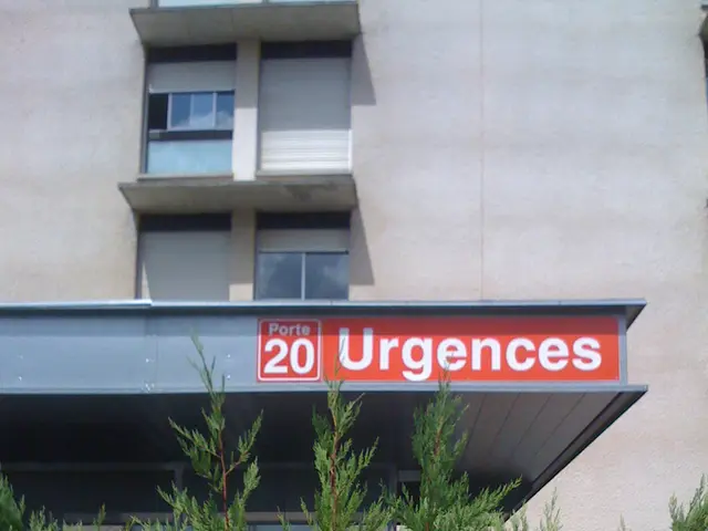 Crafting a Shut-in Terrarium: A Step-by-Step DIY Tutorial