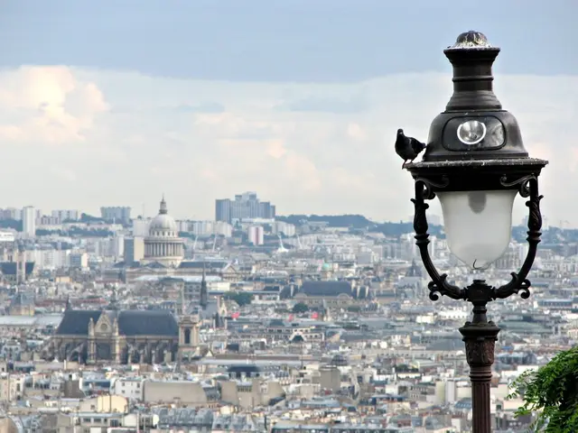 Manipulating Motion: The Art of Influencing Public Space Usage in New York City