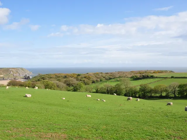 Southern England Coastal Route Unveiled under the Reign of King Charles III