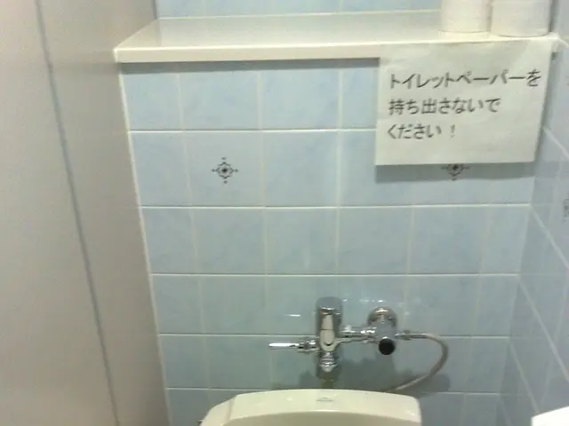 Public Restroom Etiquette in Japan: A Unique Cultural Practice of Using Toilets in Public Spaces