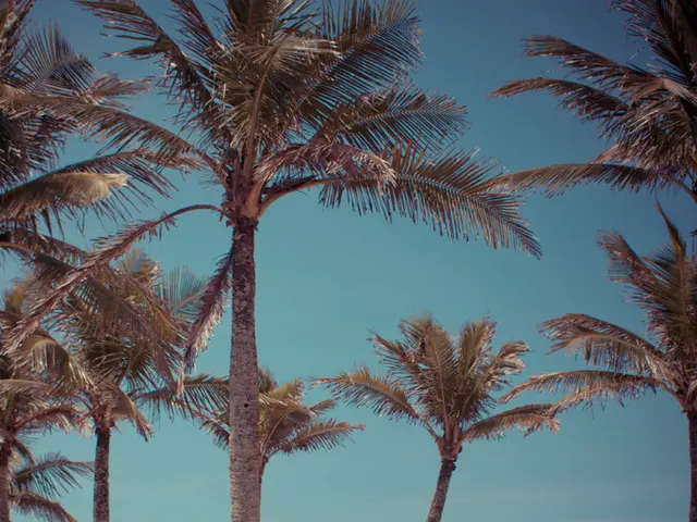 Unearth Istanbul's waterfront treasures: Spotless shores set for summer enjoyment