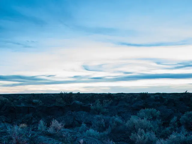 Camping enthusiasts and outdoor adventurers might find Costco's latest Fire Starter Kit less...