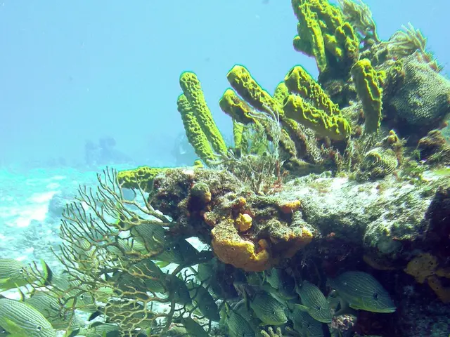 Research vessel Roger Revelle sets sail once more