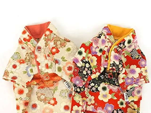 Stunning attire of Kate Middleton featuring a beachy blue dress, flat espadrilles, and statement...