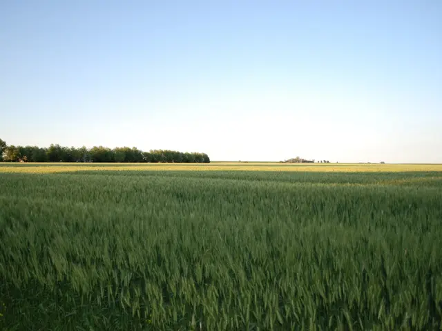 Experiencing life as an Irish immigrant in England during the 1980s: Coping with an unusual moniker...