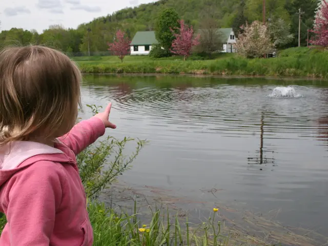 Bloom the heather no later than late July