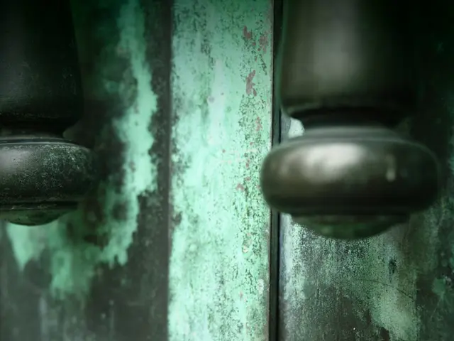 Strengthening Security on Motorhome Doors: Is Additional Locking Essential?