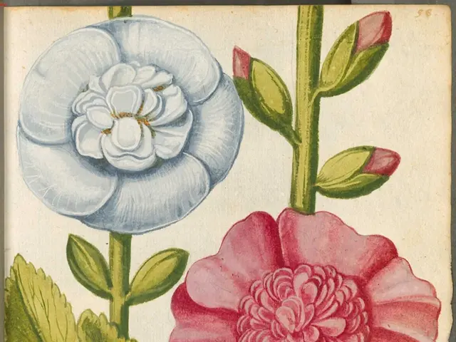 Strength and faith found in art, music, and nature's melodies - these are the sentiments shared by...