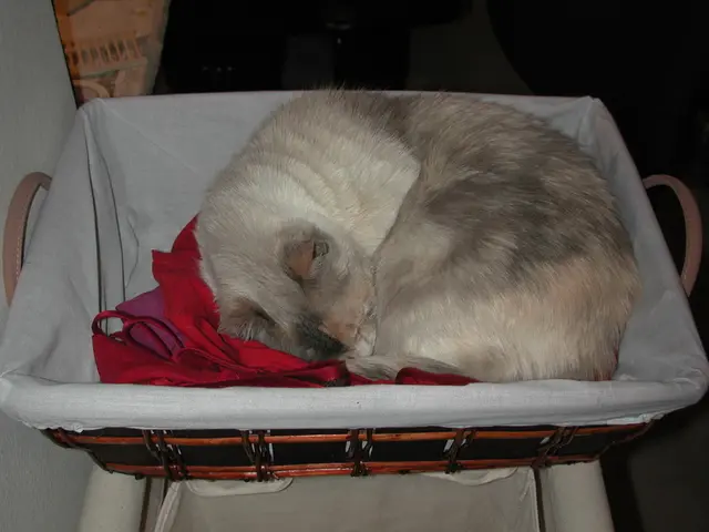 Late-night disturbance for campers as screams echo within caravan - "Thrill meter: 3000"