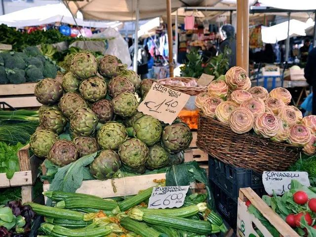 Fun-Filled Camping Adventure with Three Little Ones (Week Ending 7-27-25)