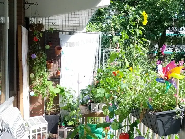 picturesque limestone barn found on Gotland's shores (available on Airbnb)