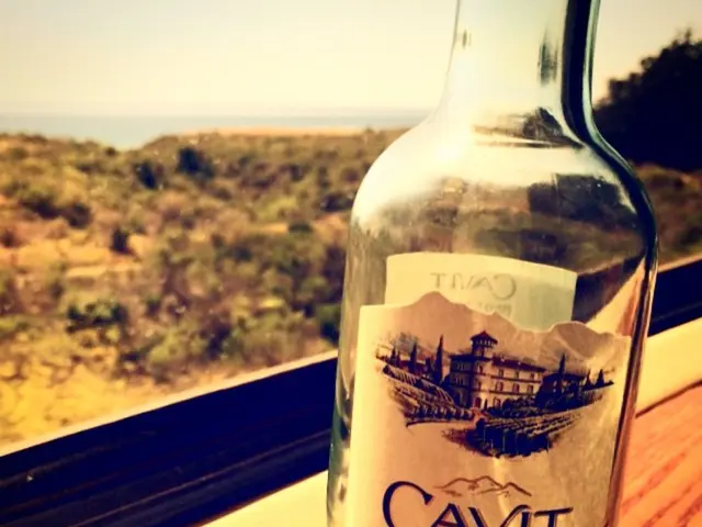 Gin Producers in the UK Worth a Visit