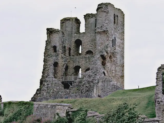 budget-conscious travelers seeking a discounted stay at Disney World will find their haven in the...