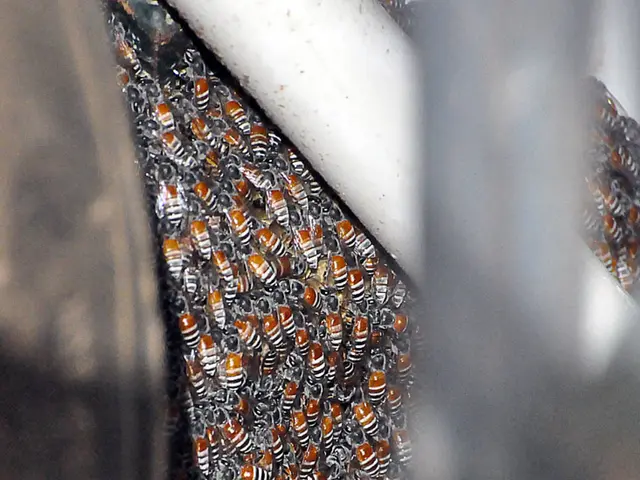 Dr. Bikash Kumar Patra, referred to as the 'Bee Whisperer' of Odisha, enhances the lives of more...