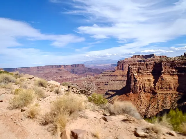 Seek thrills? Consider embarking on a hill-tribe trek in Vietnam for an exhilarating experience