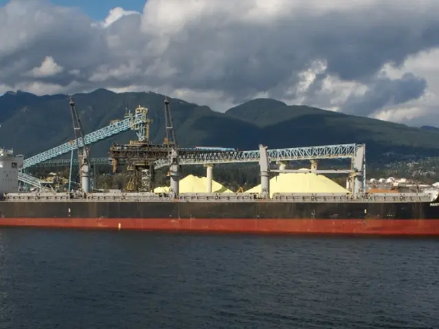 Thrilling Motion Pictures Set Sail on the Ocean Depths, Sparking Your Longing for Travel