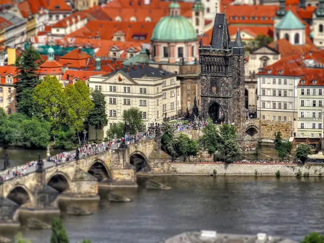 Increase in tourism observed in Mekong Delta following provincial consolidations