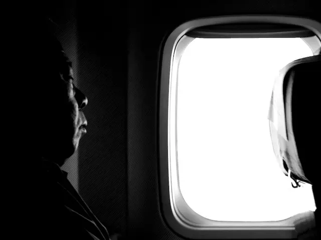 Airline Passenger's Actions Sparks Contentious Social Media Discussion Over Appropriate Behaviour...