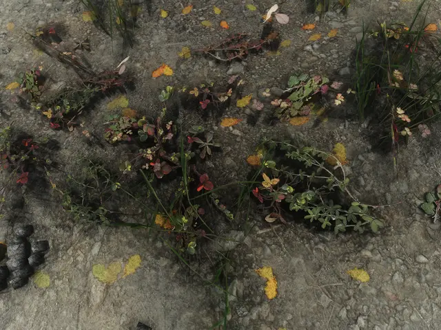 During vacation in Portugal, Mick Jagger embarks on a cultural exploration of the nation