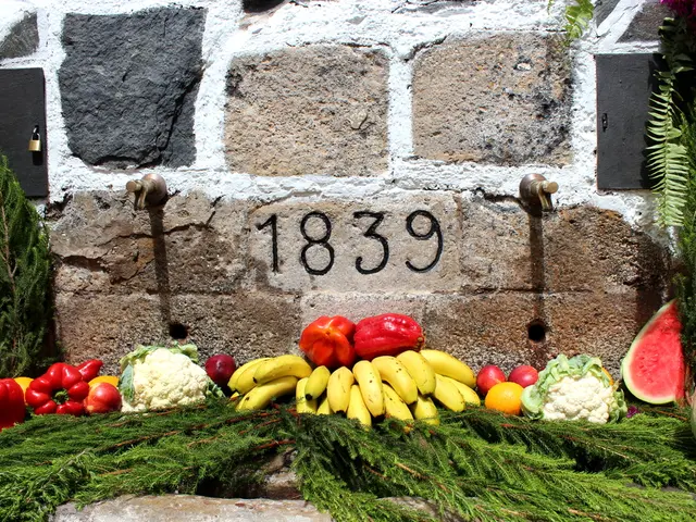 Top Notch Nature Engagements to Ignite Sensory Delights and Awe-Inspiring Moments