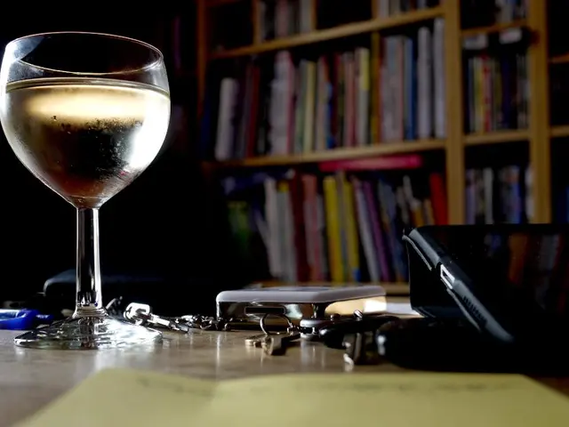 "Where Traditional 'Book Deserts' Once Stood, Now Stands The Lit. Bar"