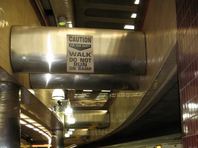 "Nizhny Novgorod's 'Hour of the Passenger' Occurrence"