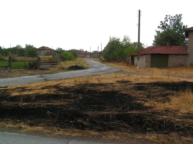 Tranquil Summer Getaway at a Norwegian Fjord Coast