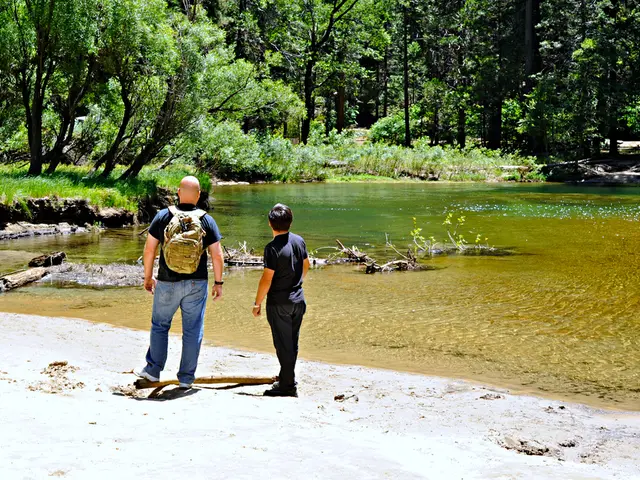 Inquiry about the customary annual percentage rate for savings deposits.