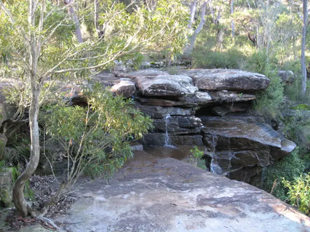 Dramatic Waterfall Bonsai in Niagara Style: Features Cascading Torrents