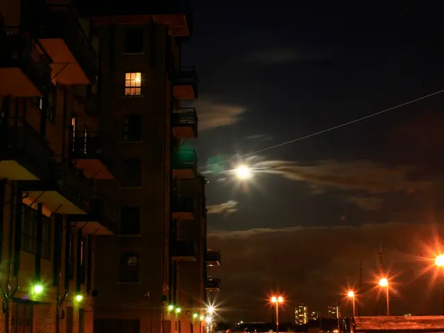 Ongoing Tribute Festival of 2025