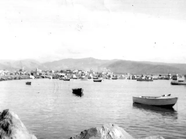 In this picture there are boats on the water. At the back there are buildings and trees and...