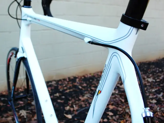 In this image there is a bicycle, few leaves on the ground and the wall.