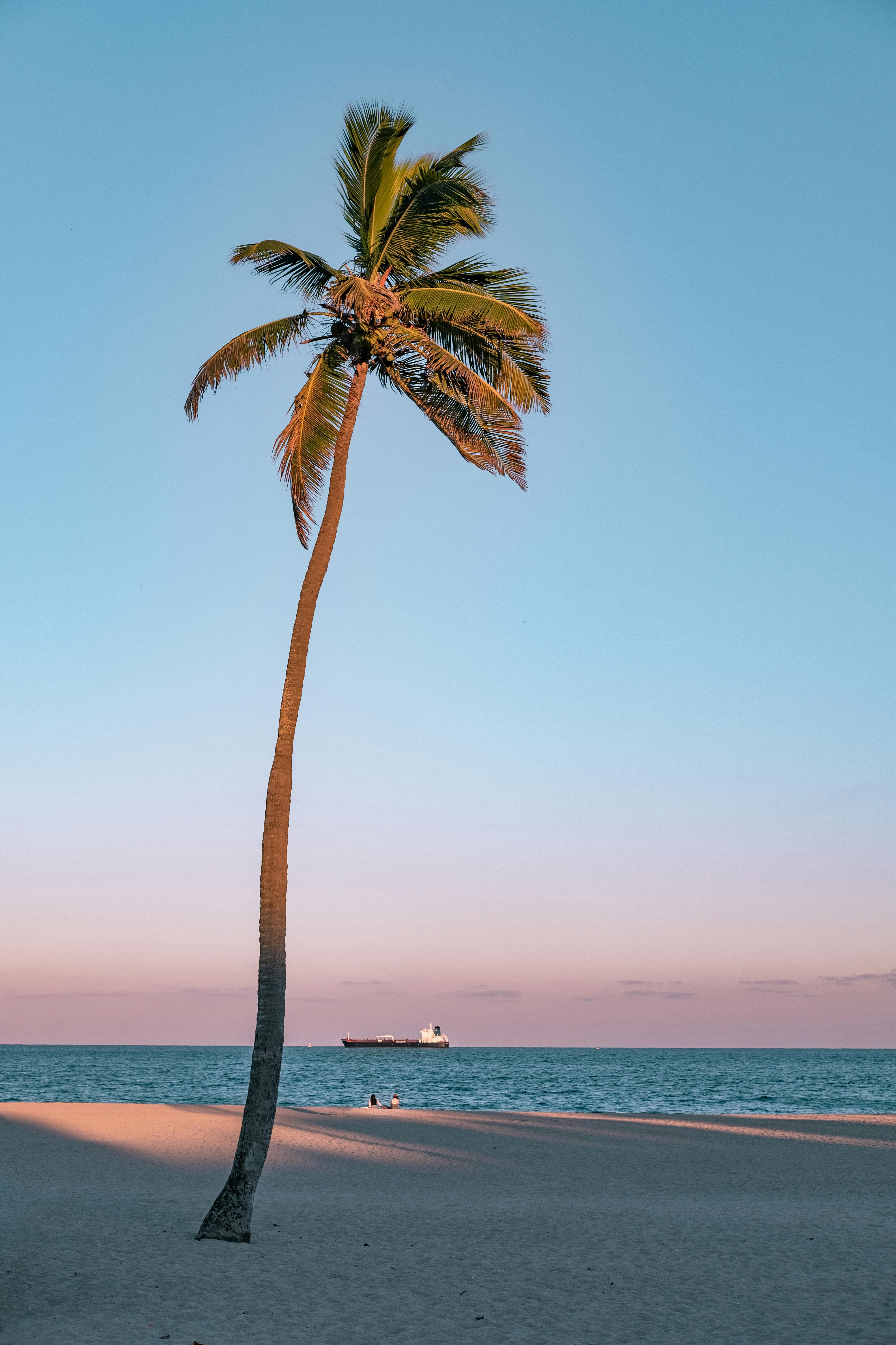 Man accused of hacking government databases, faces charges for unauthorized access and data theft Tourist Ruth Jessop Discovers Luxurious All-Inclusive Stay in the Stunning Maldives