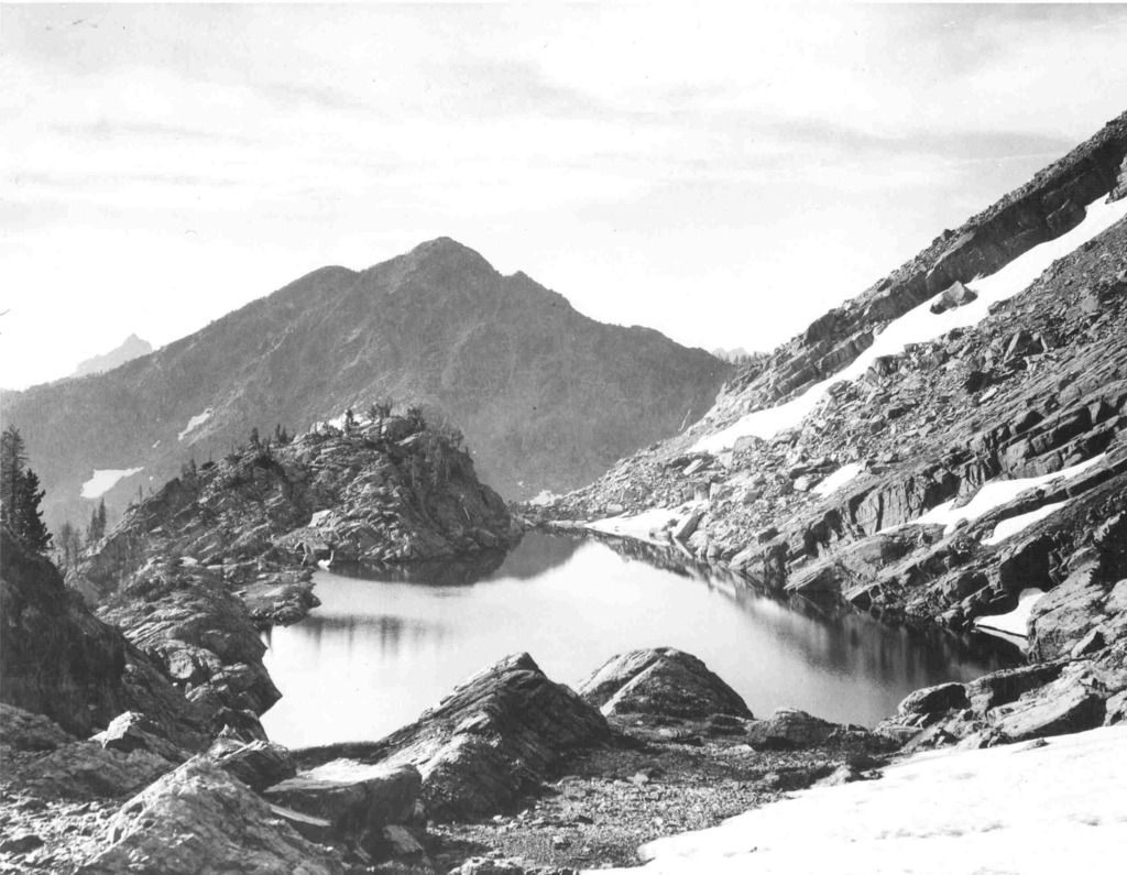 Top Wildflower Walks Found Near Breckenridge